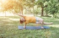 an elderly woman does yoga in the park to perform stretching for balance and balance. Royalty Free Stock Photo