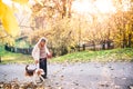 An elderly woman with dog on a walk in autumn nature. Royalty Free Stock Photo