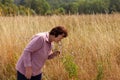 Elderly woman enjoying the beauty and fragrance of wildflowers in a tranquil wheat field setting Royalty Free Stock Photo