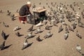 Elderly woman feeding pigeons on the street. Concept of kindness Old lonely woman feeding birds in the center of the big Royalty Free Stock Photo