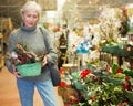 Elderly woman in festive mood choosing Christmas decorations in store Royalty Free Stock Photo