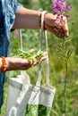 An elderly woman collects the leaves of Ivan-tea for fermentation. Collection of medicinal herbs