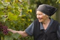 Elderly woman in garden Royalty Free Stock Photo