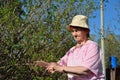 An elderly woman gardener cuts a Bush with secateurs in spring, Royalty Free Stock Photo