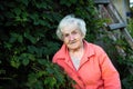 An elderly woman in the green near the village house. Royalty Free Stock Photo