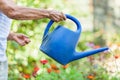 Elderly woman watering plants in her garden Royalty Free Stock Photo