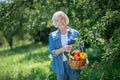 Elderly woman holding a basket of organic vegetables Royalty Free Stock Photo