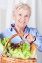 Elderly woman holding basket Royalty Free Stock Photo