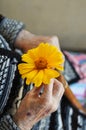 An elderly woman holding a yellow flower and a wooden cane on a summer day on the porch Royalty Free Stock Photo