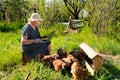 Elderly woman with laptop and chickens in village Royalty Free Stock Photo