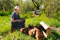 Elderly woman with laptop and chickens in village Royalty Free Stock Photo