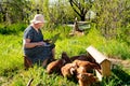 Elderly woman with laptop and chickens in village Royalty Free Stock Photo