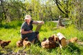 Elderly woman with laptop and chickens in village Royalty Free Stock Photo