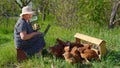 Elderly woman with laptop and chickens in village Royalty Free Stock Photo