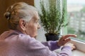 Elderly woman looking out the window Royalty Free Stock Photo