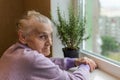 Elderly woman looking out the window Royalty Free Stock Photo