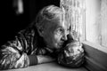 An elderly woman looks wistfully out the window. Royalty Free Stock Photo