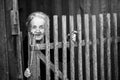 An elderly woman near the wooden fence. Royalty Free Stock Photo