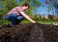 Elderly woman are planted seeds in open ground