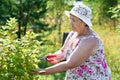 Elderly woman pruning shrubs with pruner