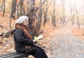 Elderly woman reading a book in the park in the autumn afternoon Royalty Free Stock Photo
