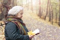 Elderly woman reading a book in the park in the autumn afternoon Royalty Free Stock Photo