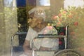 Elderly woman wheelchair flowers Royalty Free Stock Photo