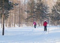 An elderly woman is skiing in the snowy winter woods or the Park, active lifestyle in retirement Royalty Free Stock Photo