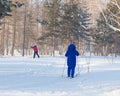 An elderly woman is skiing in the snowy winter woods or the Park, active lifestyle in retirement Royalty Free Stock Photo