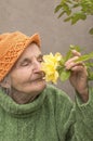 Elderly woman smelling yellow rose flower