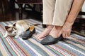 Elderly woman swollen feet putting on shoes Royalty Free Stock Photo