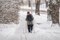 An elderly woman trains Nordic walking with sticks Royalty Free Stock Photo