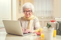 Elderly woman using laptop at home. Royalty Free Stock Photo