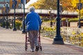 Elderly woman walking in park with a rollator walker Royalty Free Stock Photo