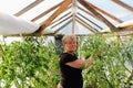 An elderly woman works in a greenhouse.