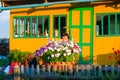 An elderly Yakut Asian woman happily hides behind a bed of bright flowers at sunset in the evening at a wooden house Royalty Free Stock Photo