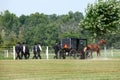 Elders and members of an Amish community going to a funeral