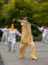 Elders Playing Taiji Sword