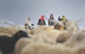 The elders of the village climb into dangerous areas to bring home the lost yaks