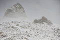 The elders of the village climb into dangerous areas to bring home the lost yaks