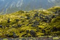 Eldhraun lava field in Iceland Royalty Free Stock Photo