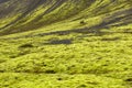 Eldhraun lava field in Iceland Royalty Free Stock Photo