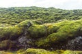Eldhraun - Volcanic Moss Fields, Iceland Royalty Free Stock Photo