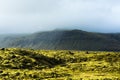 Eldhraun - Volcanic Moss Fields, Iceland Royalty Free Stock Photo