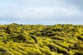 Eldhraun - Volcanic Moss Fields, Iceland Royalty Free Stock Photo