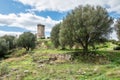 Elea Velia in Roman times, is an ancient city of Magna Grecia Royalty Free Stock Photo