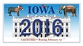 2016 Election License Plate