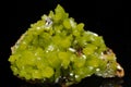 Electric apple green Thumbnail specimen of Pyromorphite