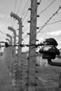 Electric barbed wires of the German nazi concentration and extermination camp Royalty Free Stock Photo
