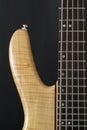 Electric bass guitar